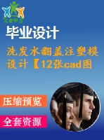 洗發(fā)水翻蓋注塑模設(shè)計(jì)【12張cad圖紙和說(shuō)明書】